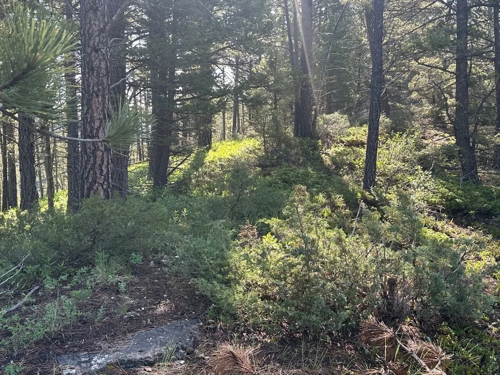 Nhn Lot 1 Highway 89 N, Monarch, Montana 59463, Monarch, Montana 59463, ,Land,For Sale,Nhn Lot 1 Highway 89 N, Monarch, Montana 59463,0,406558