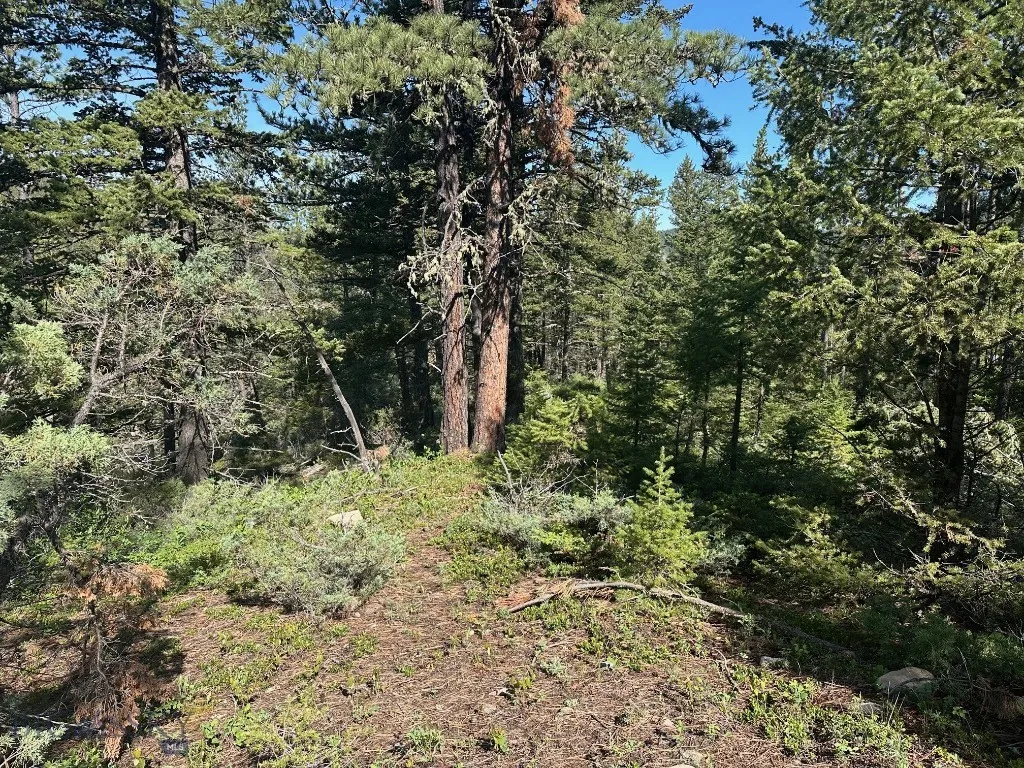 Nhn Lot 1 Highway 89 N, Monarch, Montana 59463, Monarch, Montana 59463, ,Land,For Sale,Nhn Lot 1 Highway 89 N, Monarch, Montana 59463,0,406558