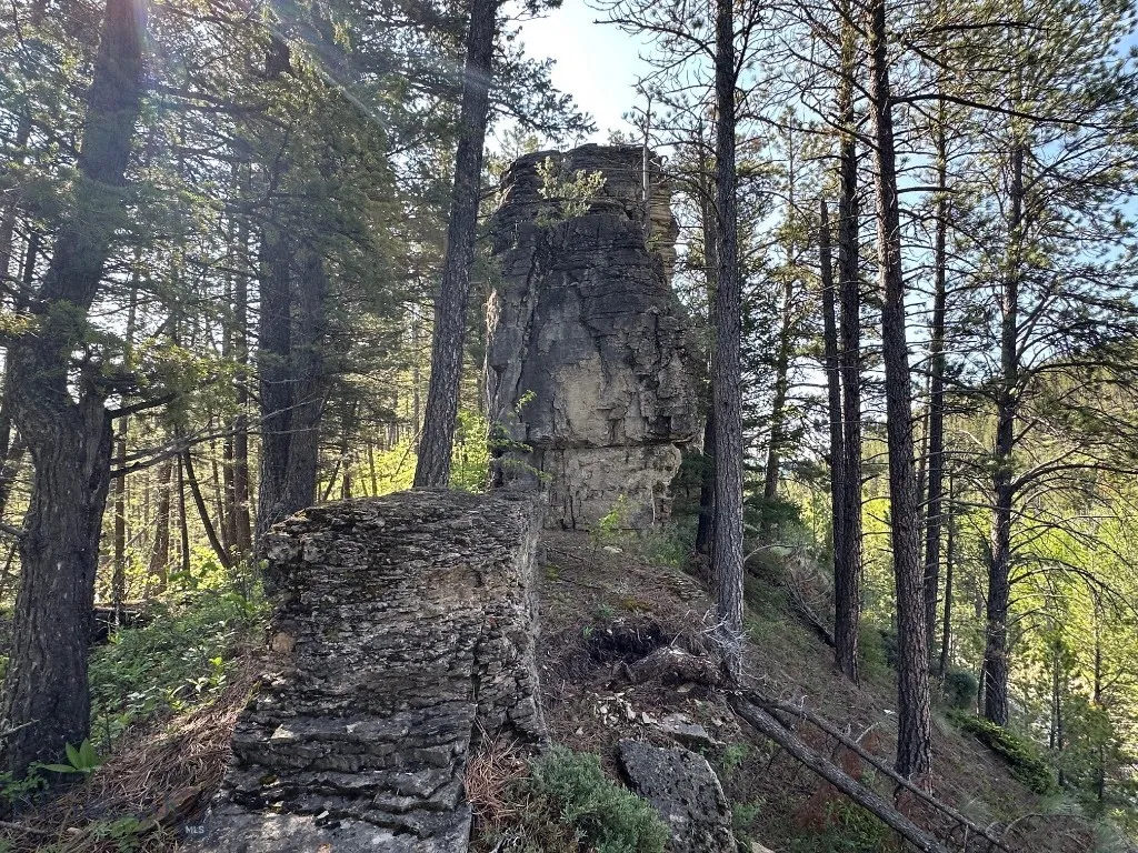 Nhn Lot 1 Highway 89 N, Monarch, Montana 59463, Monarch, Montana 59463, ,Land,For Sale,Nhn Lot 1 Highway 89 N, Monarch, Montana 59463,0,406558