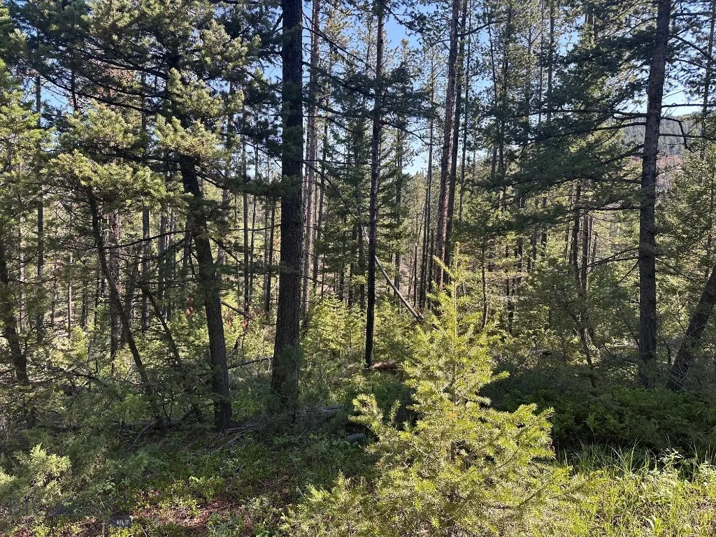 Nhn Lot 1 Highway 89 N, Monarch, Montana 59463, Monarch, Montana 59463, ,Land,For Sale,Nhn Lot 1 Highway 89 N, Monarch, Montana 59463,0,406558