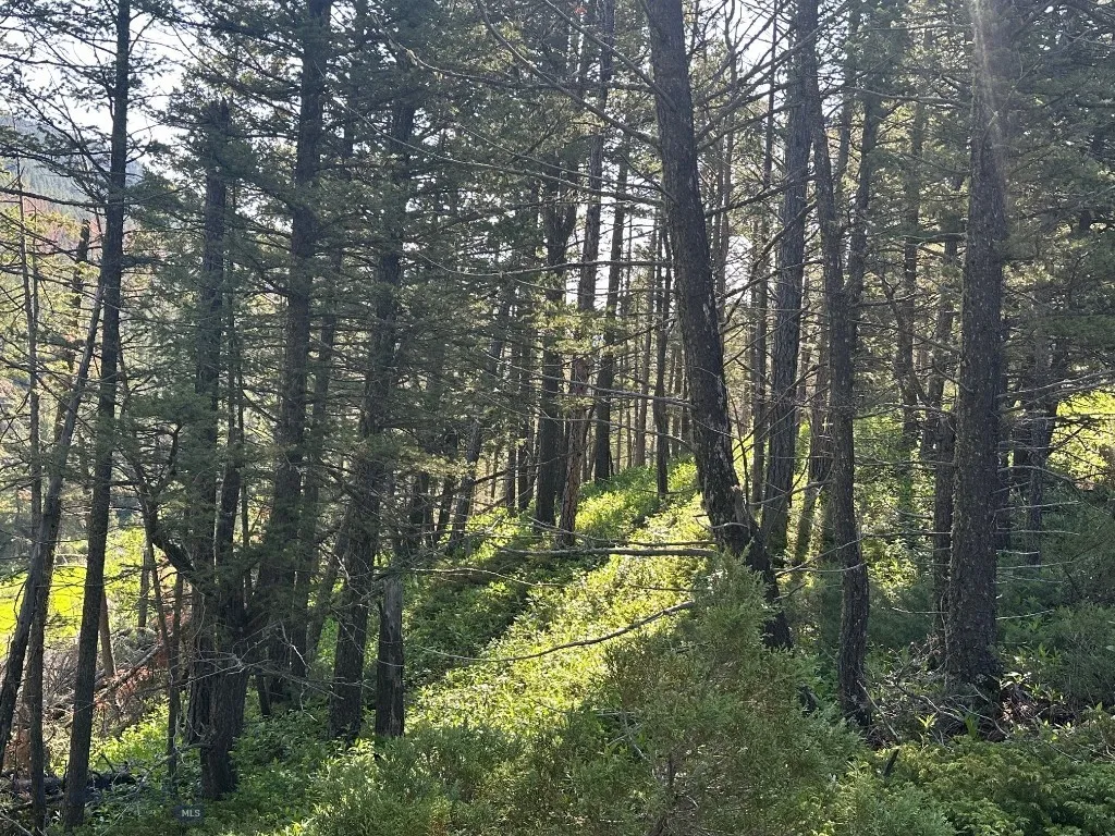 Nhn Lot 1 Highway 89 N, Monarch, Montana 59463, Monarch, Montana 59463, ,Land,For Sale,Nhn Lot 1 Highway 89 N, Monarch, Montana 59463,0,406558