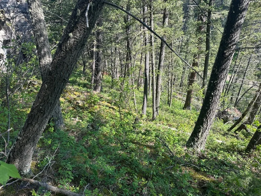 Nhn Lot 1 Highway 89 N, Monarch, Montana 59463, Monarch, Montana 59463, ,Land,For Sale,Nhn Lot 1 Highway 89 N, Monarch, Montana 59463,0,406558
