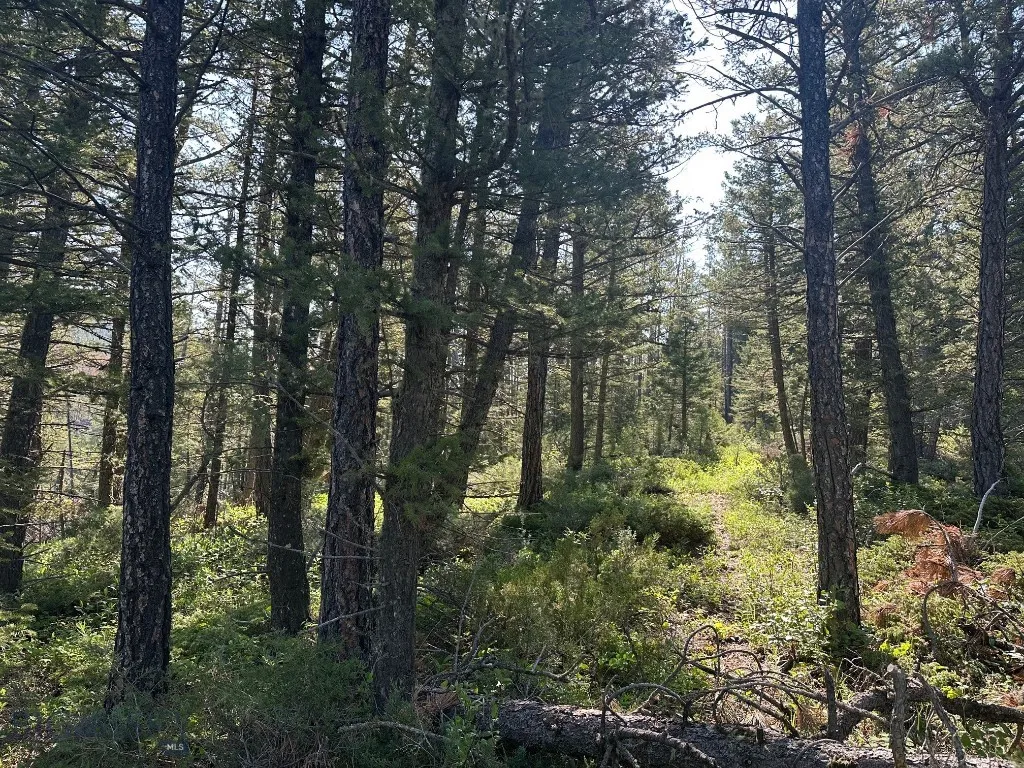 Nhn Lot 1 Highway 89 N, Monarch, Montana 59463, Monarch, Montana 59463, ,Land,For Sale,Nhn Lot 1 Highway 89 N, Monarch, Montana 59463,0,406558