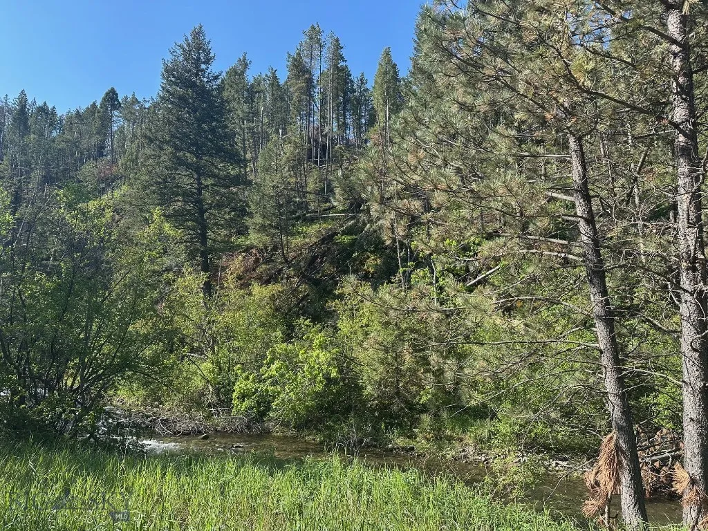 Nhn Lot 1 Highway 89 N, Monarch, Montana 59463, Monarch, Montana 59463, ,Land,For Sale,Nhn Lot 1 Highway 89 N, Monarch, Montana 59463,0,406558