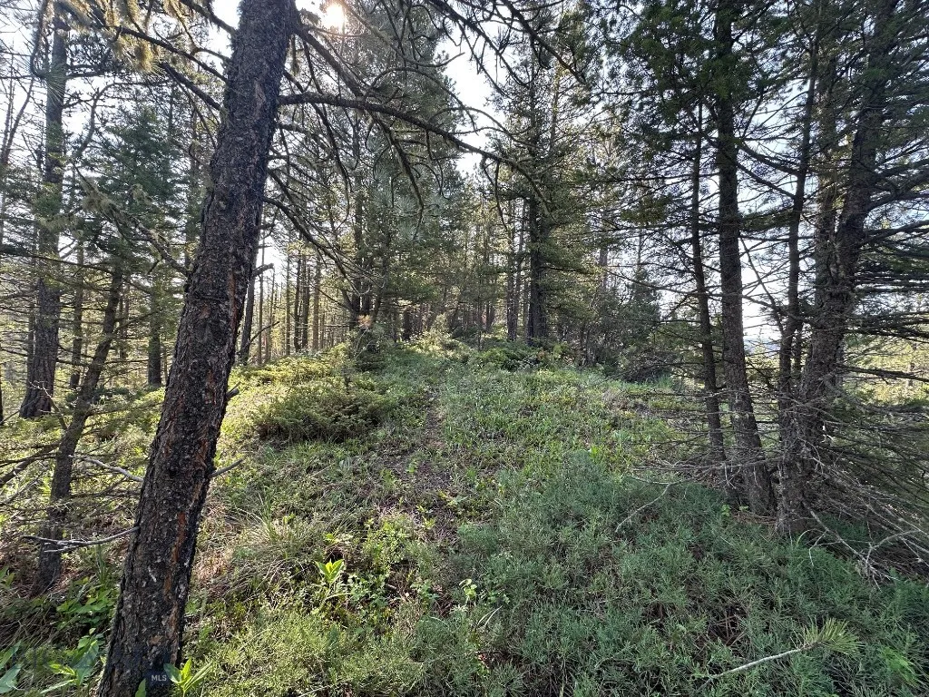 Nhn Lot 1 Highway 89 N, Monarch, Montana 59463, Monarch, Montana 59463, ,Land,For Sale,Nhn Lot 1 Highway 89 N, Monarch, Montana 59463,0,406558
