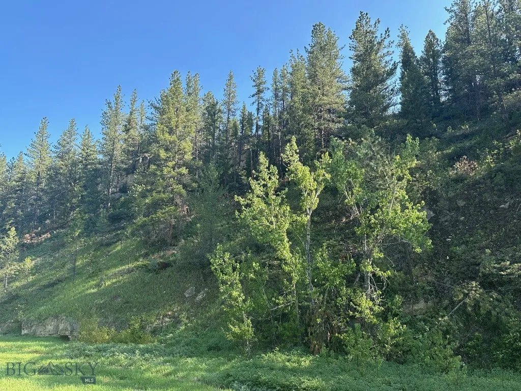 Nhn Lot 1 Highway 89 N, Monarch, Montana 59463, Monarch, Montana 59463, ,Land,For Sale,Nhn Lot 1 Highway 89 N, Monarch, Montana 59463,0,406558
