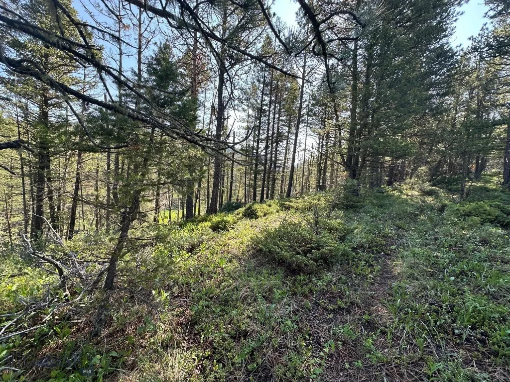 Nhn Lot 1 Highway 89 N, Monarch, Montana 59463, Monarch, Montana 59463, ,Land,For Sale,Nhn Lot 1 Highway 89 N, Monarch, Montana 59463,0,406558