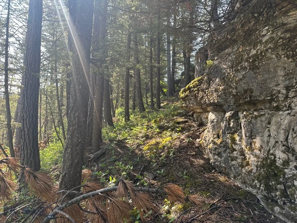 Nhn Lot 1 Highway 89 N, Monarch, Montana 59463, Monarch, Montana 59463, ,Land,For Sale,Nhn Lot 1 Highway 89 N, Monarch, Montana 59463,0,406558