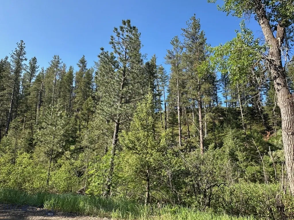 Nhn Lot 1 Highway 89 N, Monarch, Montana 59463, Monarch, Montana 59463, ,Land,For Sale,Nhn Lot 1 Highway 89 N, Monarch, Montana 59463,0,406558