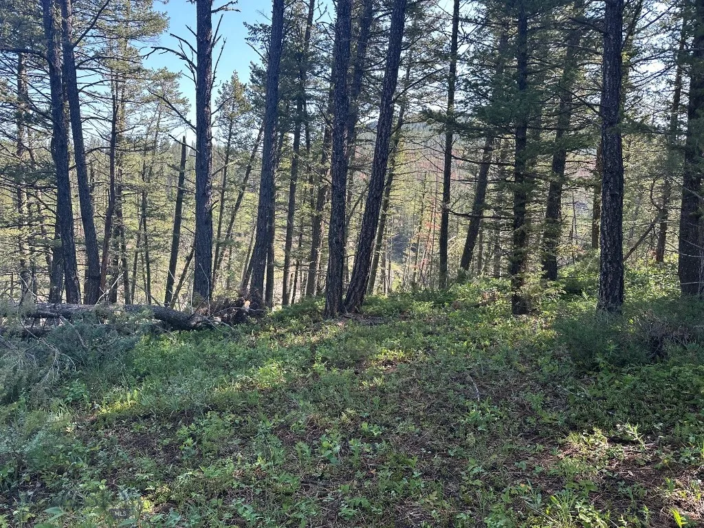 Nhn Lot 1 Highway 89 N, Monarch, Montana 59463, Monarch, Montana 59463, ,Land,For Sale,Nhn Lot 1 Highway 89 N, Monarch, Montana 59463,0,406558