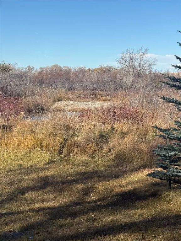 Creek behind property