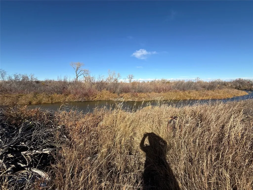 Creek behind property