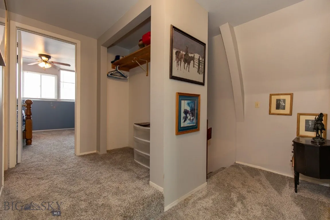 Landing and extra closet upstairs