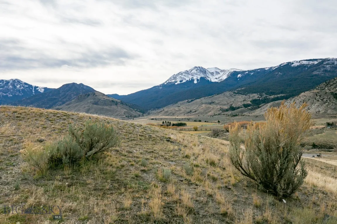 Nhn Maiden Basin Road, Gardiner, Montana 59030, Gardiner, Montana 59030, ,Land,For Sale,Nhn Maiden Basin Road, Gardiner, Montana 59030,0,407231