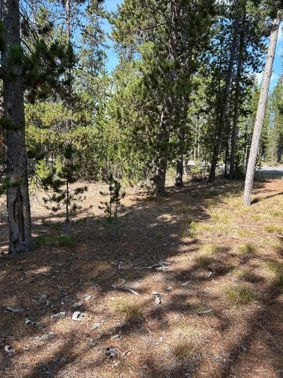 Tbd Grouse Court, West Yellowstone, Montana 59758, West Yellowstone, Montana 59758, ,Land,For Sale,Tbd Grouse Court, West Yellowstone, Montana 59758,0,407753