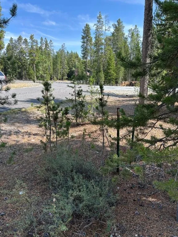 Tbd Grouse Court, West Yellowstone, Montana 59758, West Yellowstone, Montana 59758, ,Land,For Sale,Tbd Grouse Court, West Yellowstone, Montana 59758,0,407753