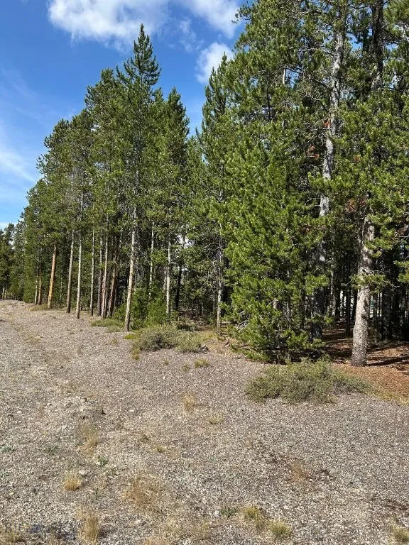 Tbd Grouse Court, West Yellowstone, Montana 59758, West Yellowstone, Montana 59758, ,Land,For Sale,Tbd Grouse Court, West Yellowstone, Montana 59758,0,407753