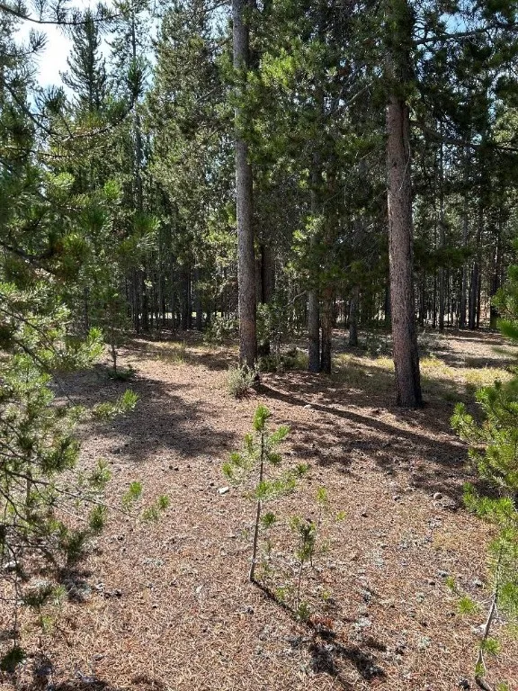 Tbd Grouse Court, West Yellowstone, Montana 59758, West Yellowstone, Montana 59758, ,Land,For Sale,Tbd Grouse Court, West Yellowstone, Montana 59758,0,407753