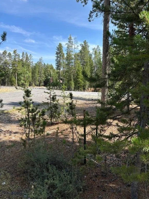 Tbd Grouse Court, West Yellowstone, Montana 59758, West Yellowstone, Montana 59758, ,Land,For Sale,Tbd Grouse Court, West Yellowstone, Montana 59758,0,407753