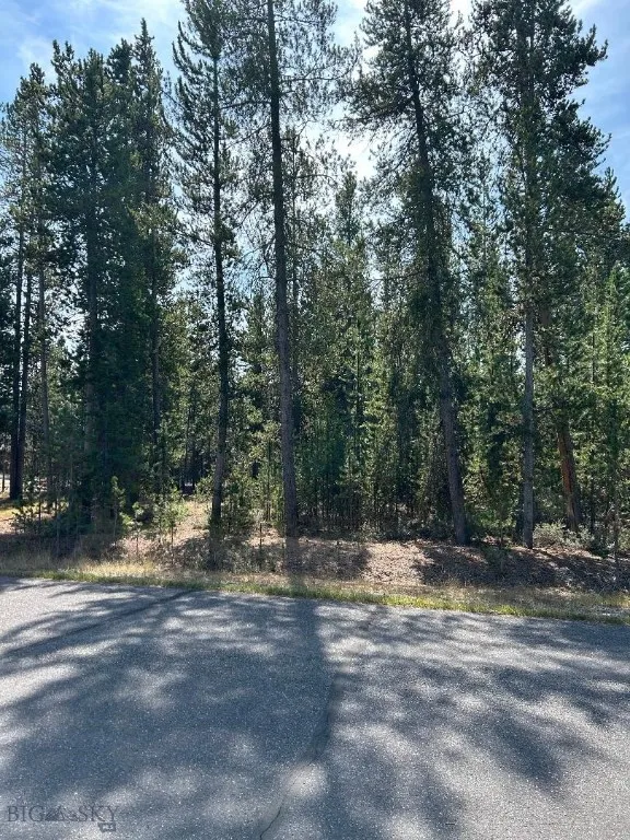 Tbd Grouse Court, West Yellowstone, Montana 59758, West Yellowstone, Montana 59758, ,Land,For Sale,Tbd Grouse Court, West Yellowstone, Montana 59758,0,407753
