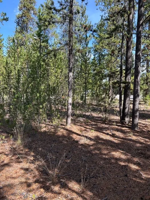 Tbd Grouse Court, West Yellowstone, Montana 59758, West Yellowstone, Montana 59758, ,Land,For Sale,Tbd Grouse Court, West Yellowstone, Montana 59758,0,407753