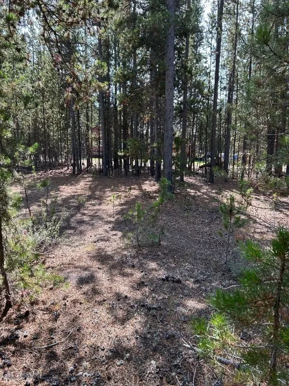 Tbd Grouse Court, West Yellowstone, Montana 59758, West Yellowstone, Montana 59758, ,Land,For Sale,Tbd Grouse Court, West Yellowstone, Montana 59758,0,407753