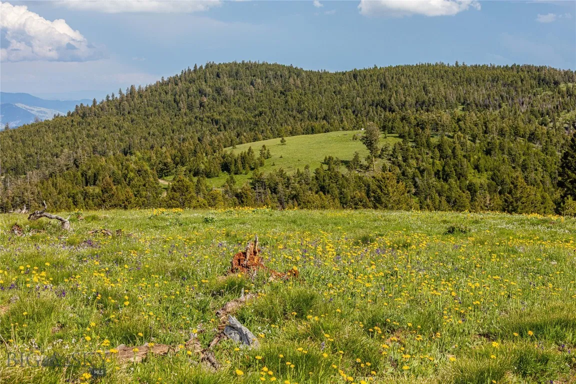 10 Tract, Drummond, Montana 59832, Drummond, Montana 59832, ,Land,For Sale,10 Tract, Drummond, Montana 59832,0,407954