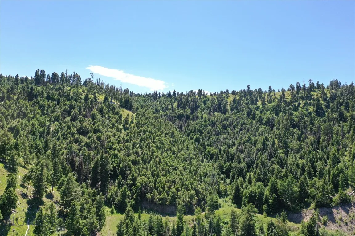 13 Garnet Range Tract, Drummond, Montana 59832, Drummond, Montana 59832, ,Land,For Sale,13 Garnet Range Tract, Drummond, Montana 59832,0,408014