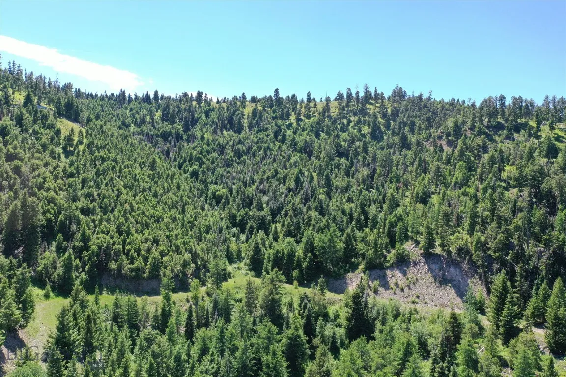 13 Garnet Range Tract, Drummond, Montana 59832, Drummond, Montana 59832, ,Land,For Sale,13 Garnet Range Tract, Drummond, Montana 59832,0,408014