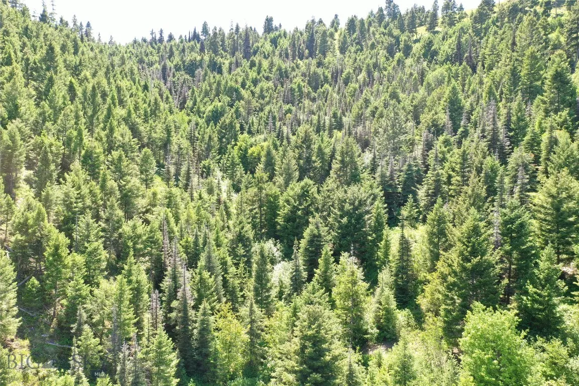 13 Garnet Range Tract, Drummond, Montana 59832, Drummond, Montana 59832, ,Land,For Sale,13 Garnet Range Tract, Drummond, Montana 59832,0,408014