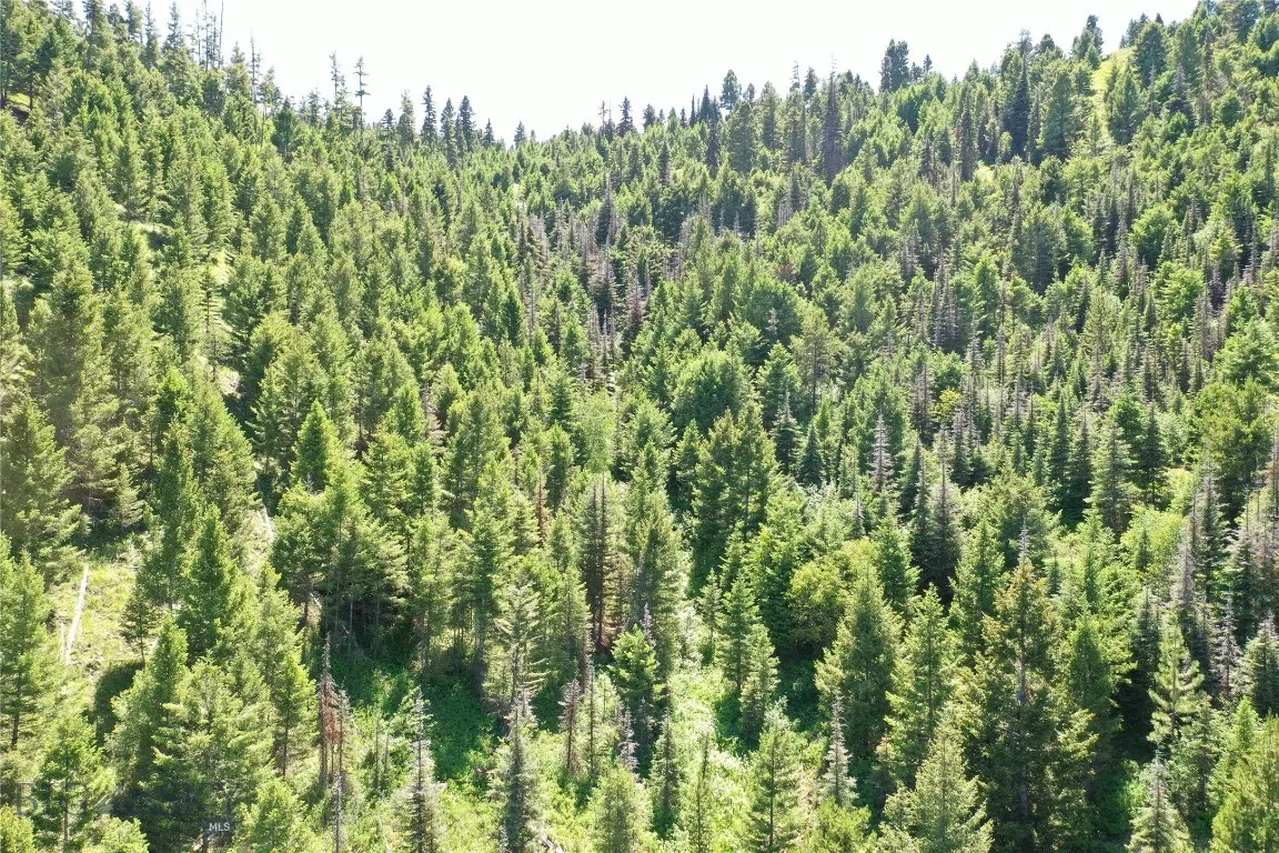 13 Garnet Range Tract, Drummond, Montana 59832, Drummond, Montana 59832, ,Land,For Sale,13 Garnet Range Tract, Drummond, Montana 59832,0,408014