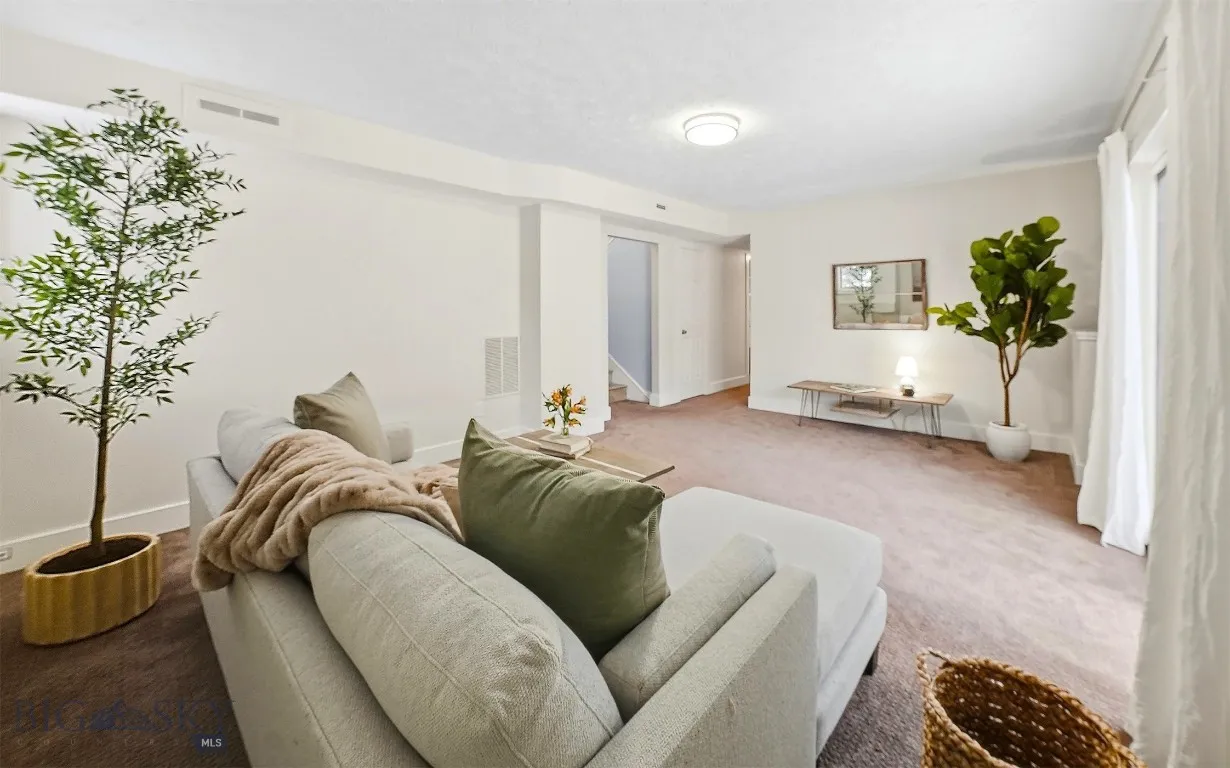 Lower walk out family room