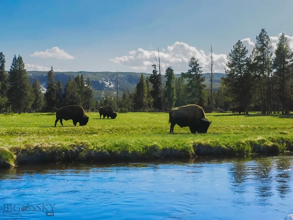 1111 Moonrise Way, West Yellowstone, Montana 59758, West Yellowstone, Montana 59758, ,Land,For Sale,1111 Moonrise Way, West Yellowstone, Montana 59758,0,408579