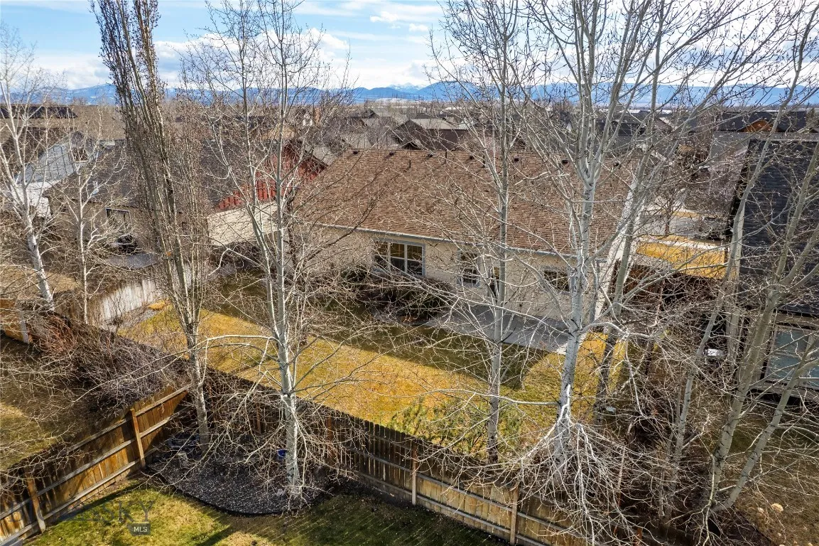 back yard view