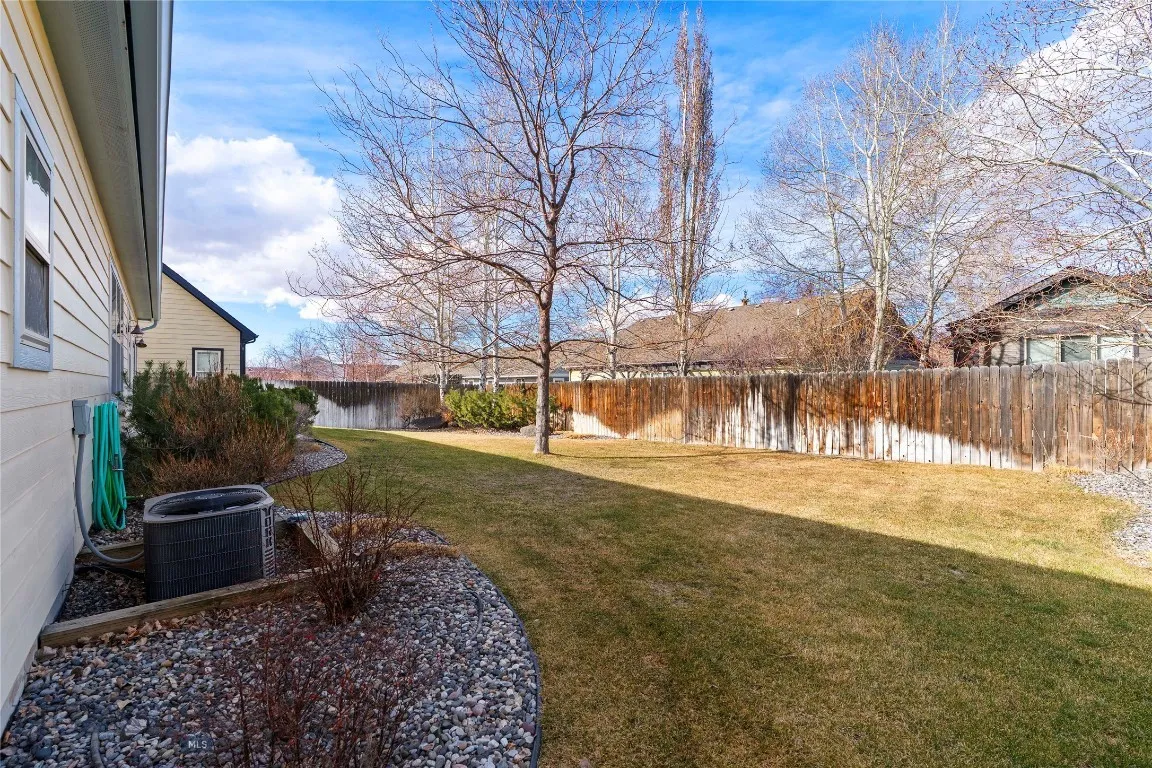 back yard