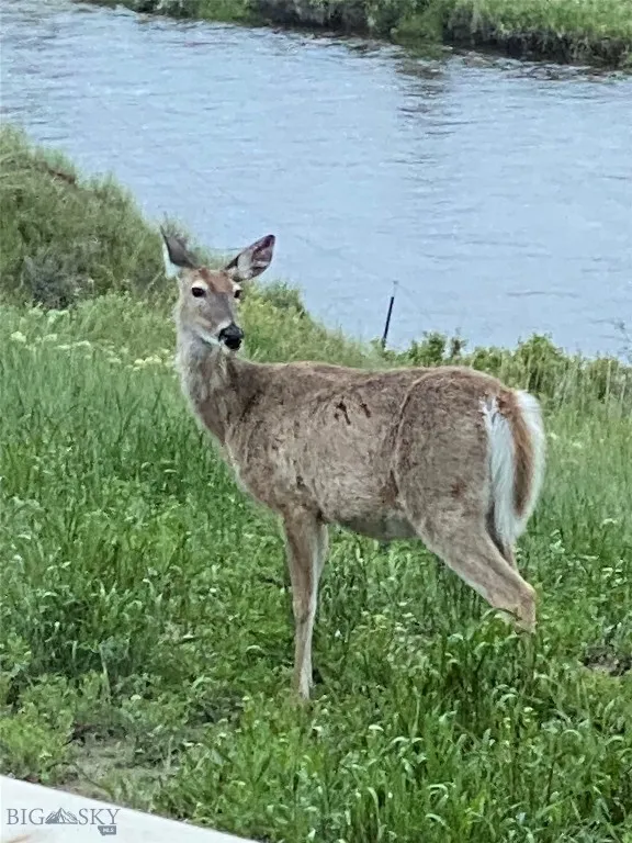 915 Point Of Rocks Road, Whitehall, Montana 59759, Whitehall, Montana 59759, 4 Bedrooms Bedrooms, ,4 BathroomsBathrooms,Residential,For Sale,915 Point Of Rocks Road, Whitehall, Montana 59759,0,409012