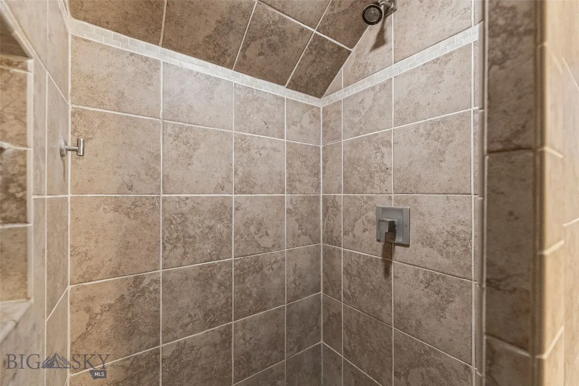 Lower Level Shower