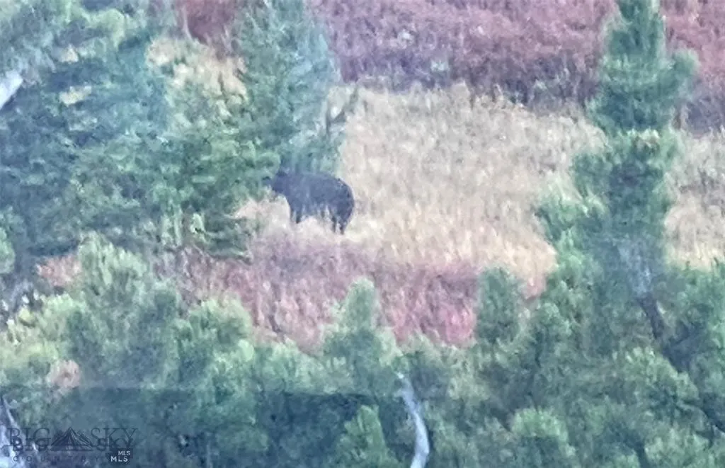 86 Pony Lane, Livingston, Montana 59047, Livingston, Montana 59047, 3 Bedrooms Bedrooms, ,2 BathroomsBathrooms,Residential,For Sale,86 Pony Lane, Livingston, Montana 59047,0,409165