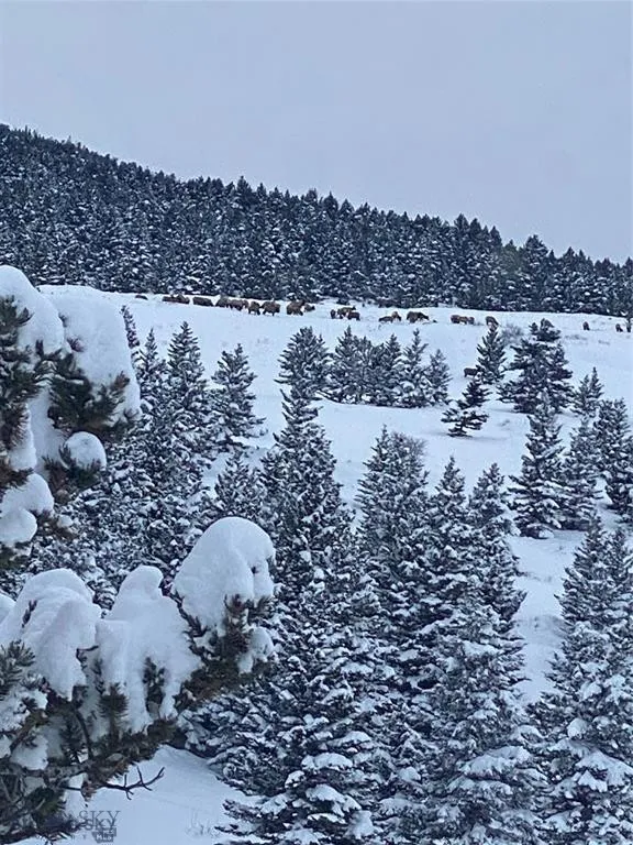 86 Pony Lane, Livingston, Montana 59047, Livingston, Montana 59047, 3 Bedrooms Bedrooms, ,2 BathroomsBathrooms,Residential,For Sale,86 Pony Lane, Livingston, Montana 59047,0,409165