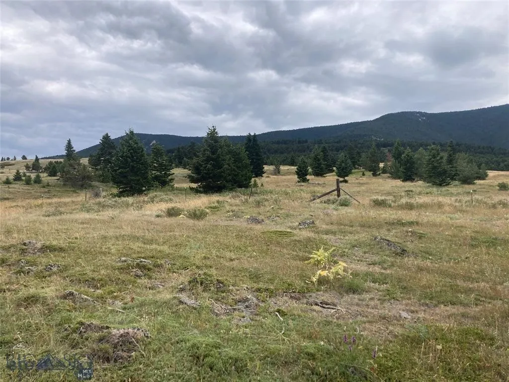 86 Pony Lane, Livingston, Montana 59047, Livingston, Montana 59047, 3 Bedrooms Bedrooms, ,2 BathroomsBathrooms,Residential,For Sale,86 Pony Lane, Livingston, Montana 59047,0,409165