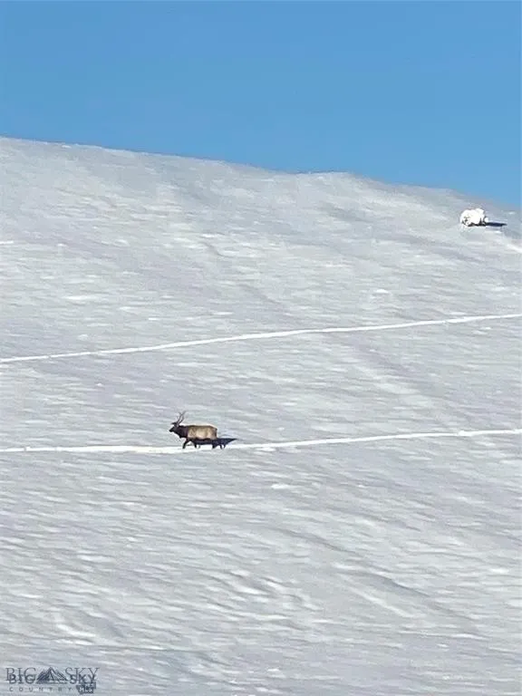 86 Pony Lane, Livingston, Montana 59047, Livingston, Montana 59047, 3 Bedrooms Bedrooms, ,2 BathroomsBathrooms,Residential,For Sale,86 Pony Lane, Livingston, Montana 59047,0,409165