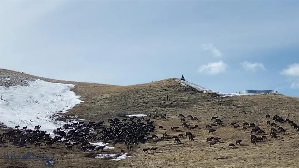 86 Pony Lane, Livingston, Montana 59047, Livingston, Montana 59047, 3 Bedrooms Bedrooms, ,2 BathroomsBathrooms,Residential,For Sale,86 Pony Lane, Livingston, Montana 59047,0,409165