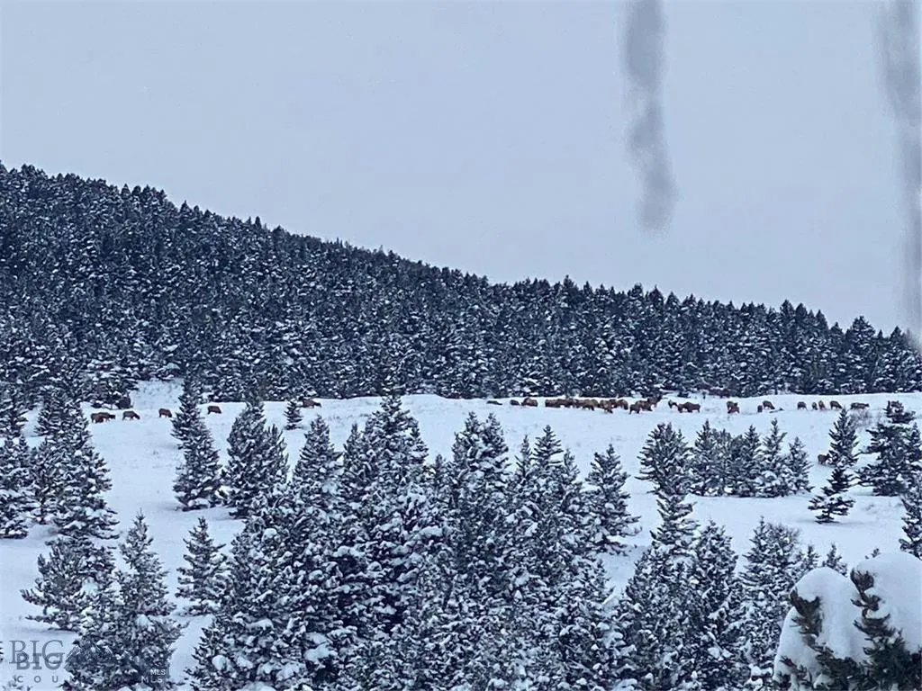 86 Pony Lane, Livingston, Montana 59047, Livingston, Montana 59047, 3 Bedrooms Bedrooms, ,2 BathroomsBathrooms,Residential,For Sale,86 Pony Lane, Livingston, Montana 59047,0,409165