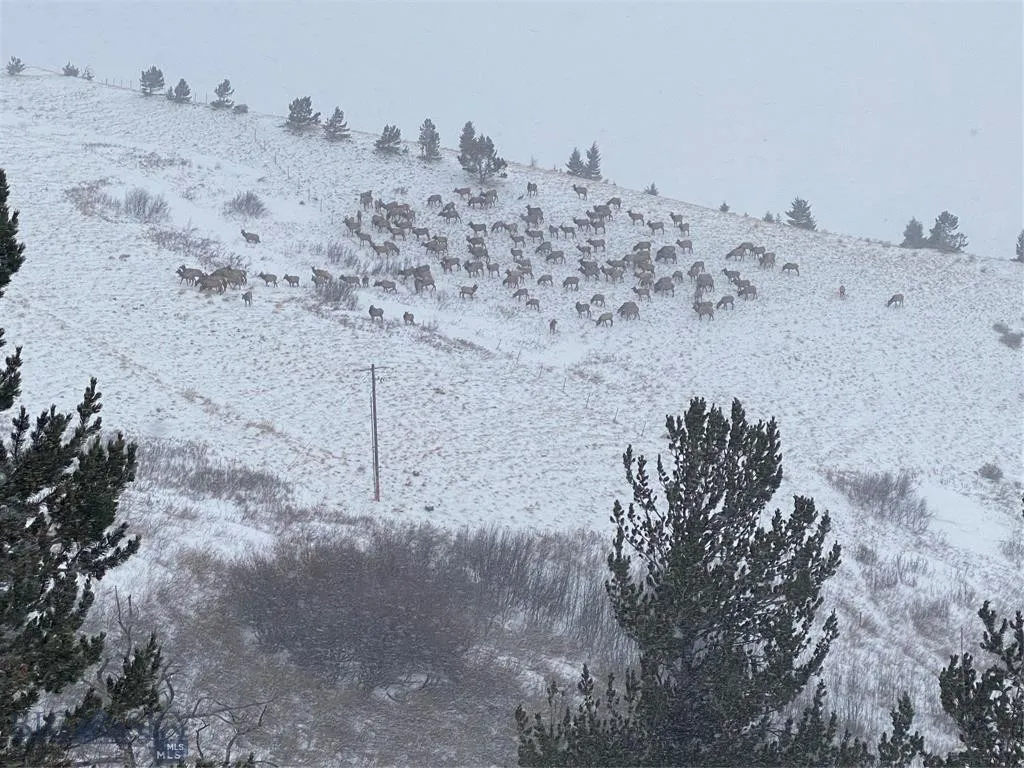 86 Pony Lane, Livingston, Montana 59047, Livingston, Montana 59047, 3 Bedrooms Bedrooms, ,2 BathroomsBathrooms,Residential,For Sale,86 Pony Lane, Livingston, Montana 59047,0,409165