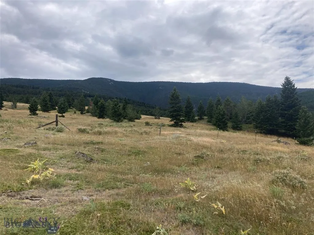 86 Pony Lane, Livingston, Montana 59047, Livingston, Montana 59047, 3 Bedrooms Bedrooms, ,2 BathroomsBathrooms,Residential,For Sale,86 Pony Lane, Livingston, Montana 59047,0,409165