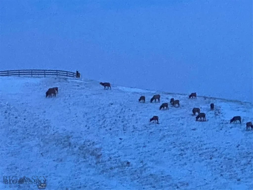 86 Pony Lane, Livingston, Montana 59047, Livingston, Montana 59047, 3 Bedrooms Bedrooms, ,2 BathroomsBathrooms,Residential,For Sale,86 Pony Lane, Livingston, Montana 59047,0,409165