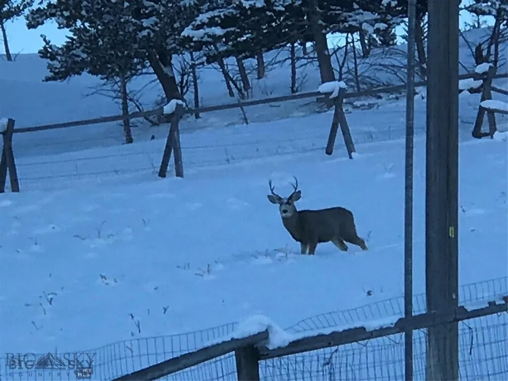 86 Pony Lane, Livingston, Montana 59047, Livingston, Montana 59047, 3 Bedrooms Bedrooms, ,2 BathroomsBathrooms,Residential,For Sale,86 Pony Lane, Livingston, Montana 59047,0,409165