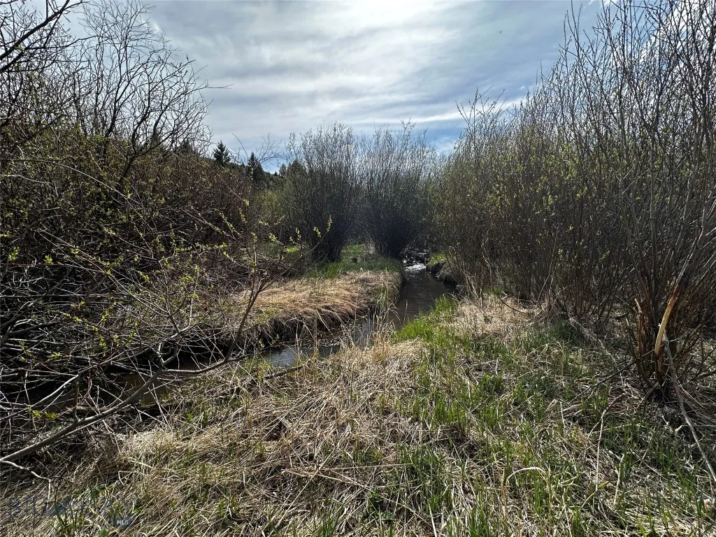 40 Mike Day Drive, White Sulphur Springs, Montana, White Sulphur Springs, Montana 59645, ,Land,For Sale,40 Mike Day Drive, White Sulphur Springs, Montana ,0,409181
