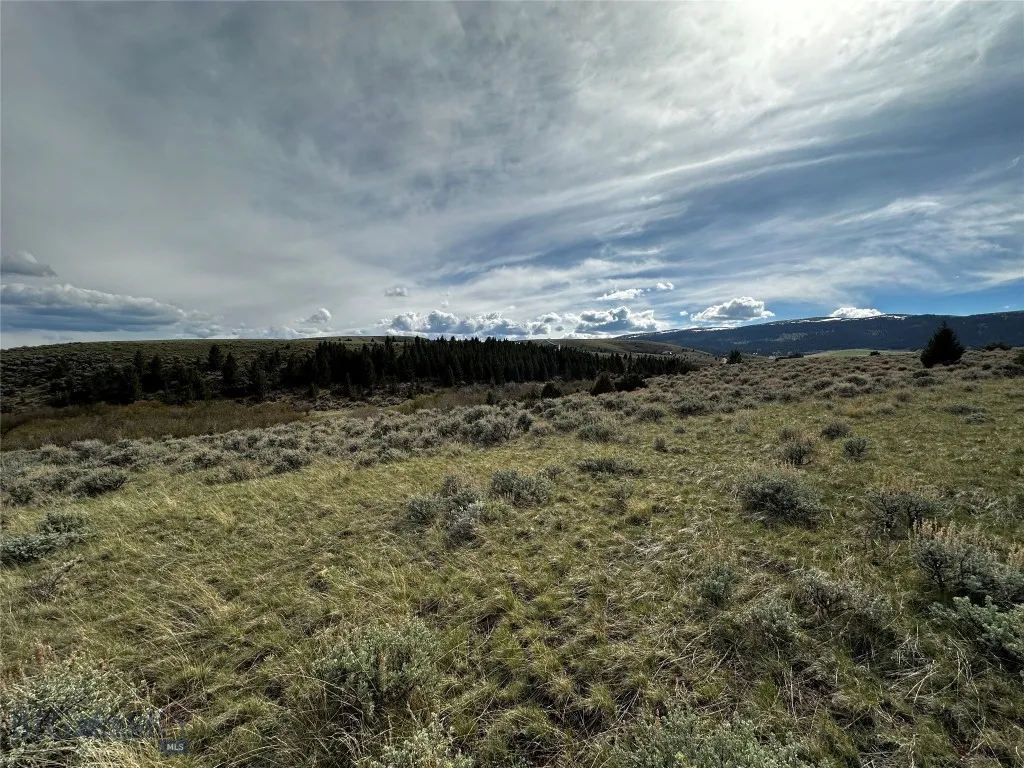 40 Mike Day Drive, White Sulphur Springs, Montana, White Sulphur Springs, Montana 59645, ,Land,For Sale,40 Mike Day Drive, White Sulphur Springs, Montana ,0,409181