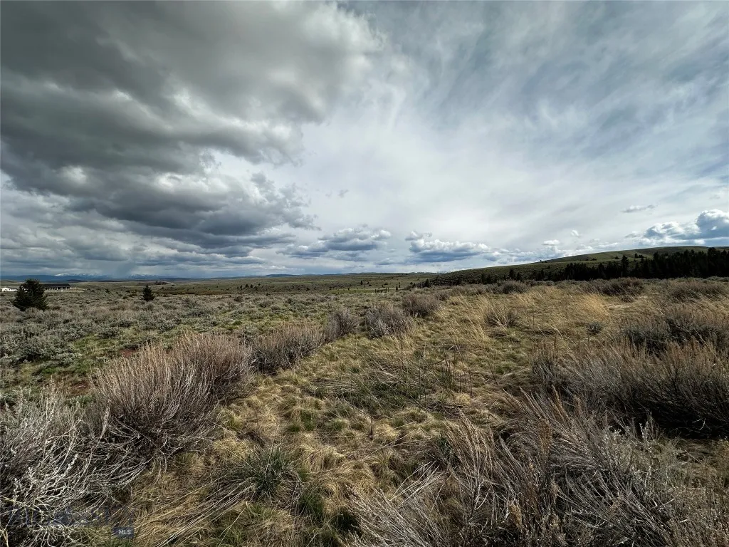 40 Mike Day Drive, White Sulphur Springs, Montana, White Sulphur Springs, Montana 59645, ,Land,For Sale,40 Mike Day Drive, White Sulphur Springs, Montana ,0,409181